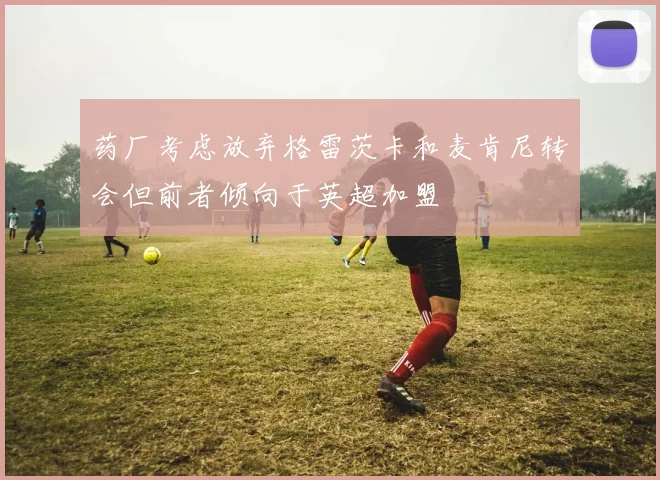 药厂考虑放弃格雷茨卡和麦肯尼转会但前者倾向于英超加盟