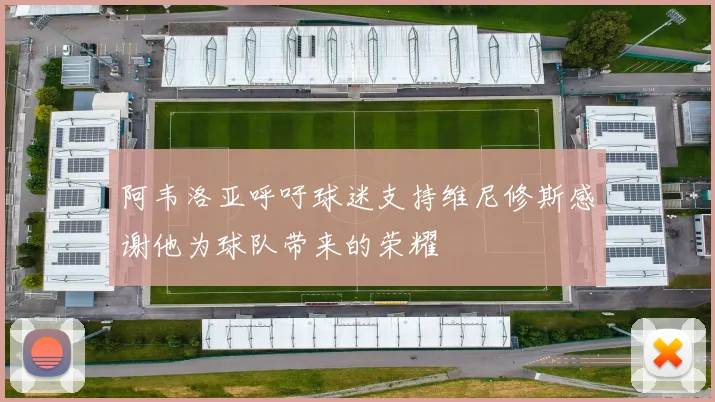 阿韦洛亚呼吁球迷支持维尼修斯感谢他为球队带来的荣耀
