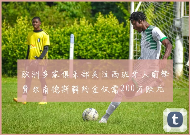 欧洲多家俱乐部关注西班牙人前锋费尔南德斯解约金仅需200万欧元