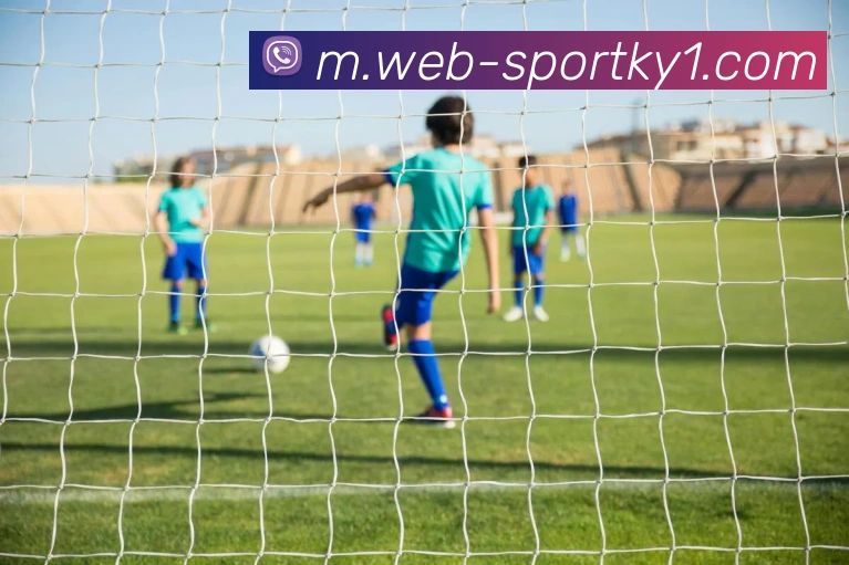 开云体育服务体系